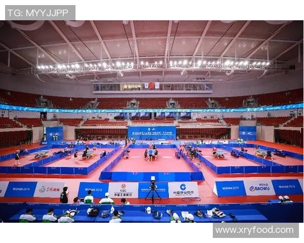 军人体育明星排名全景解析及其影响力探讨