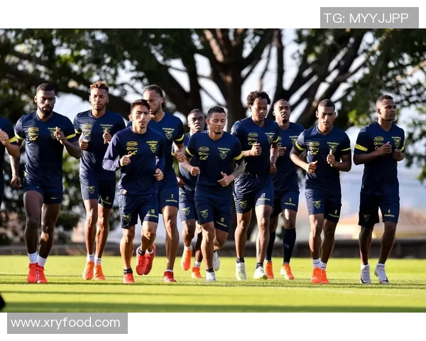 厄瓜尔足球明星阵容全解析及其在国际赛场上的表现回顾