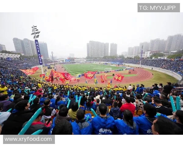 我心中的足球英雄：热爱与激情交织的明星故事