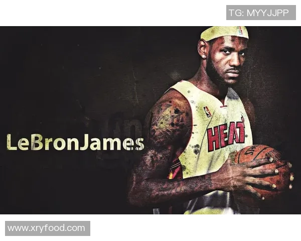 2013年热火队与森林狼队的精彩对决回顾与分析