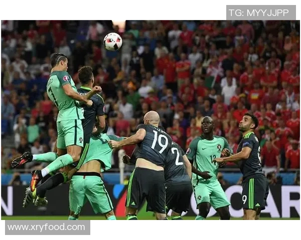 2016年欧洲杯半决赛葡萄牙逆转威尔士晋级决赛精彩瞬间回顾