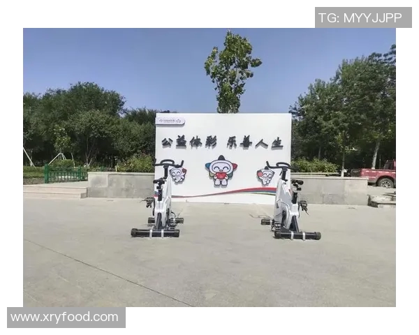 优质体育器材厂家助力运动发展提升健身体验与健康生活品质