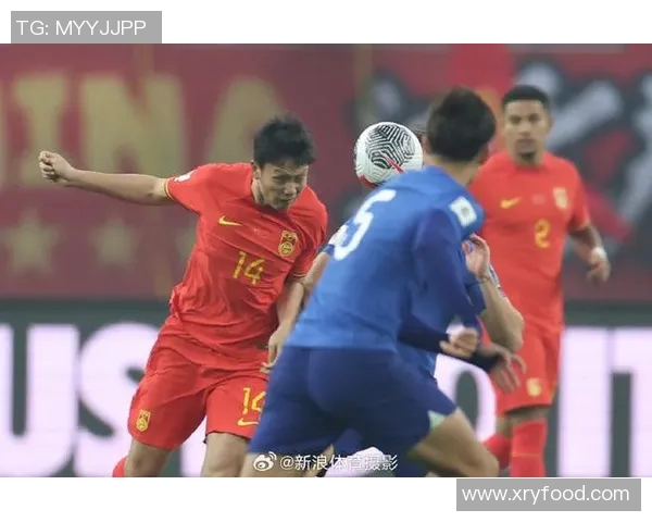 国足备战新征程新浪体育新闻聚焦球队最新动态与赛事分析